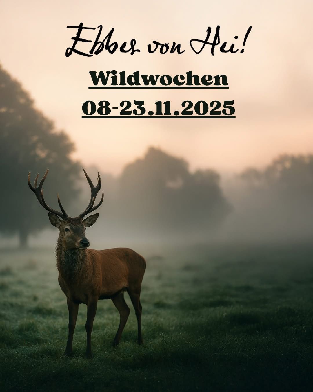 Ebbes von Hei! Wildwochen